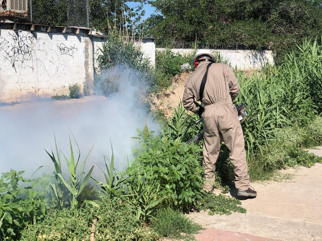 Termo nebulizan para eliminar mosquitos portadores de enfermedades