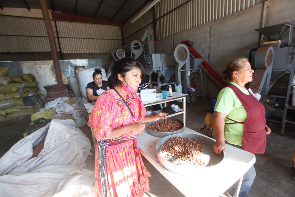 Desarrollo Rural apoyará a productores agrícolas a expandir su mercado