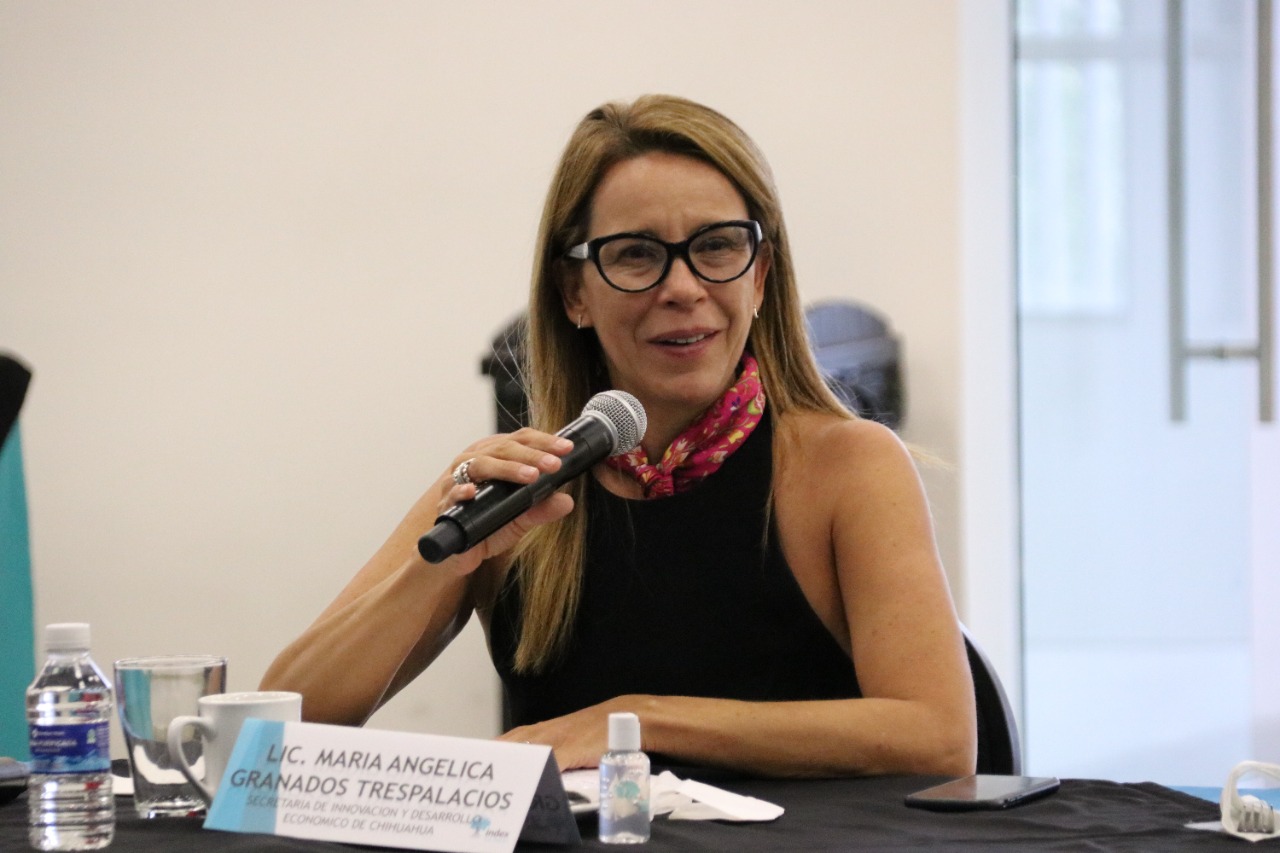 Busca Estado posicionar a nivel mundial la industria maquiladora de exportación