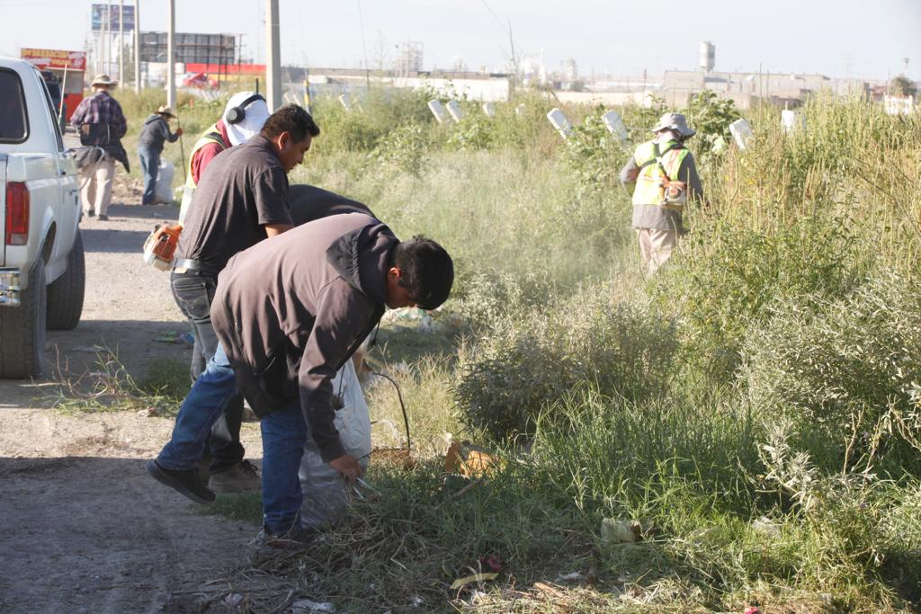 Levantan 50 toneladas de basura y maleza en la entrada de Juárez.