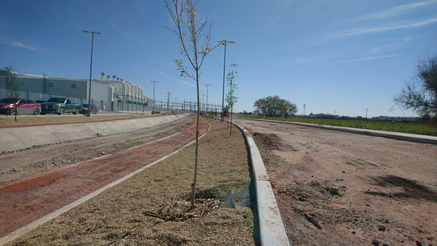 Arranca segunda parte de reforestación de parque lineal