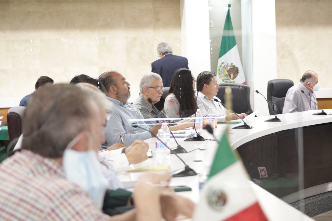 Ampliarán avenida Teófilo Borunda