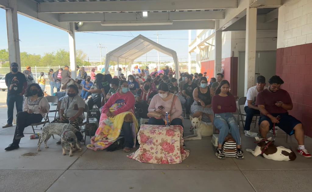 Esterilizaron más de 400 mascotas en Riberas del Bravo