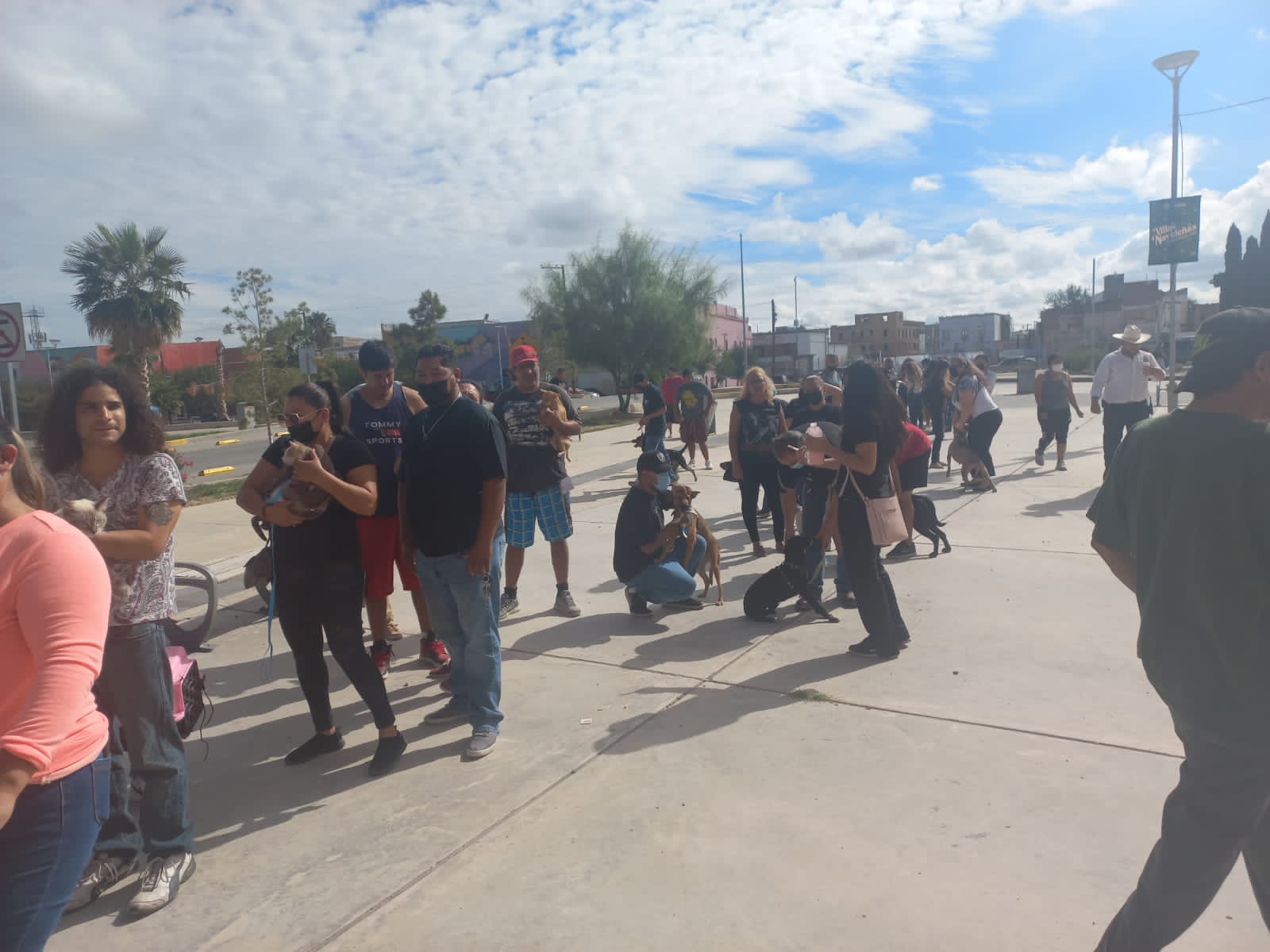 Registran más de 600 mascotas para la campaña de esterilización