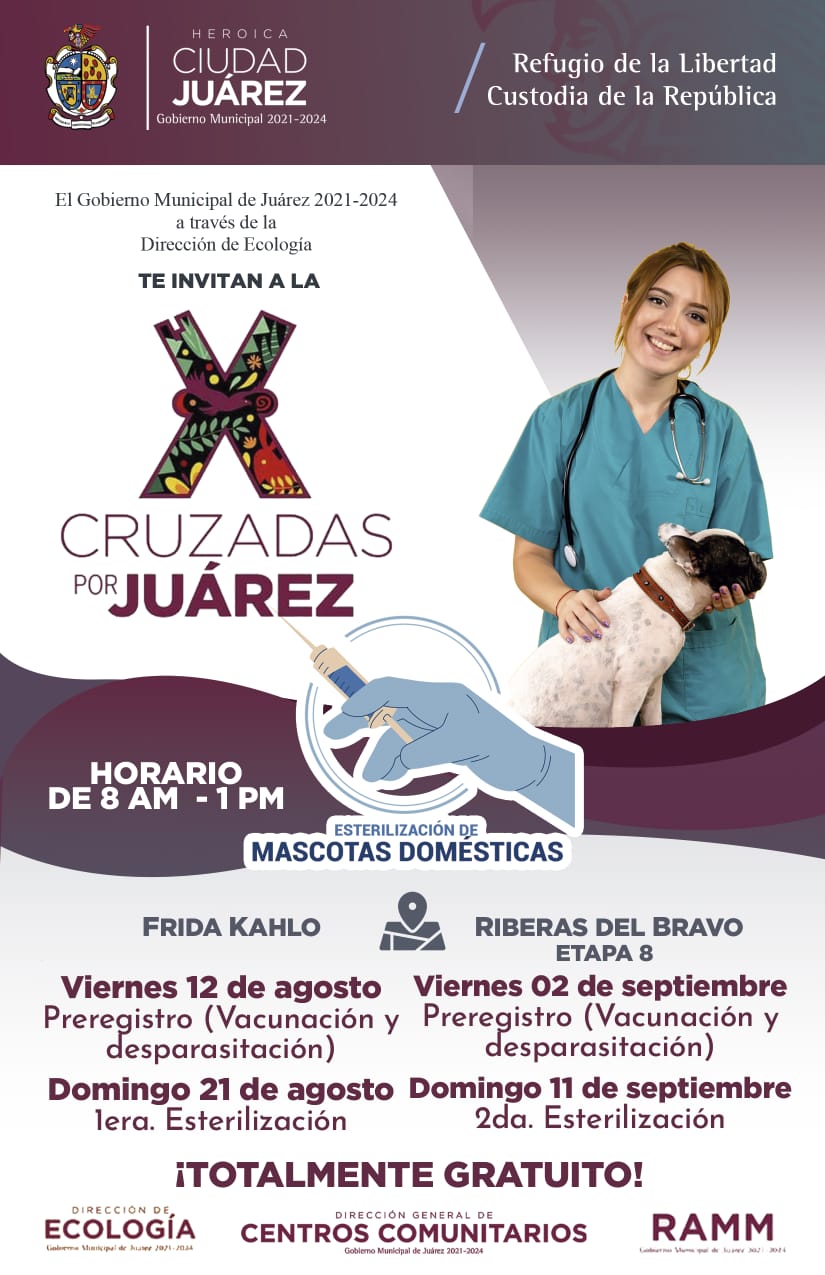 Anuncia municipio campaña de esterilización masiva de perros y gatos