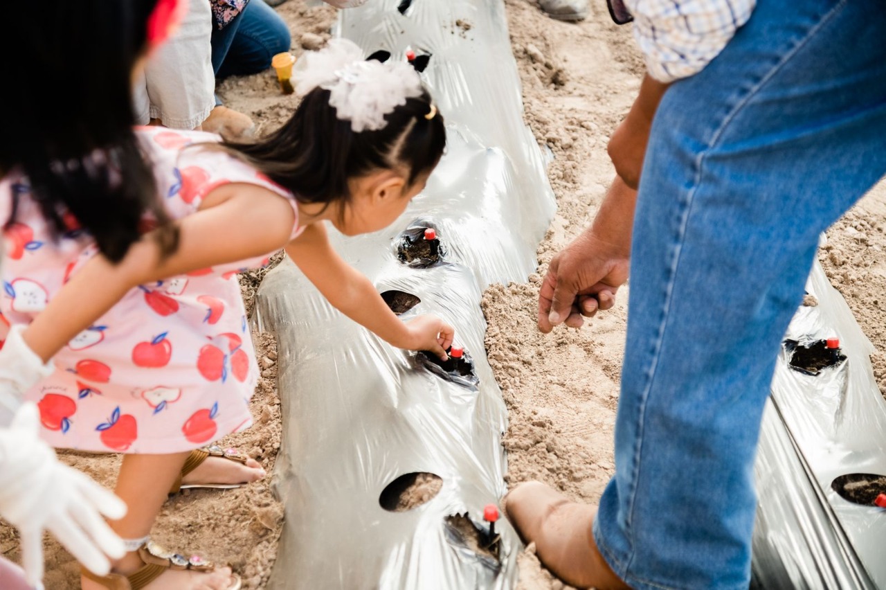 Siembran semillas de hortalizas en el albergue Granja Hogar del DIF