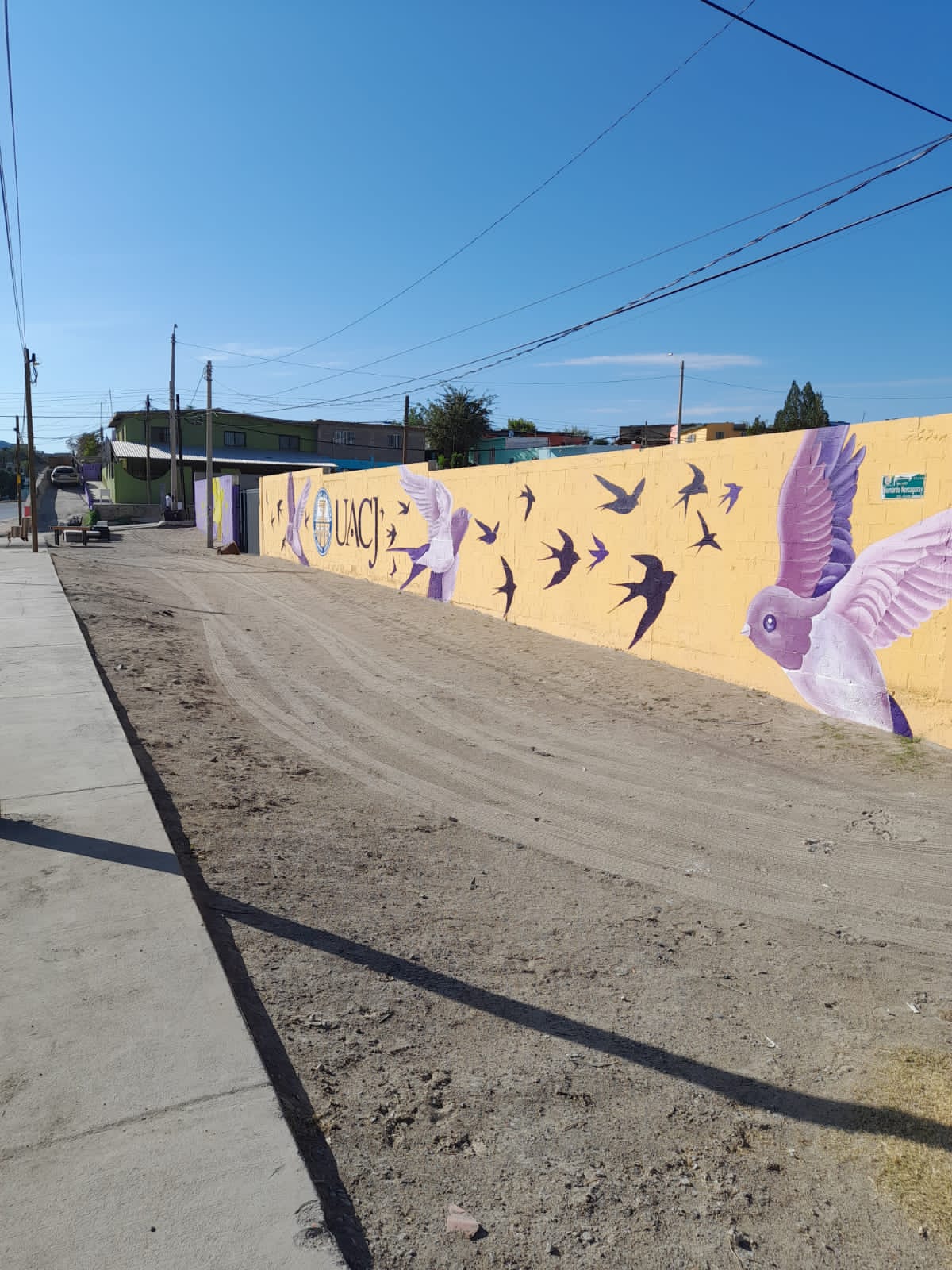 Pintan 1,780 viviendas en Cruzada por mi Casa