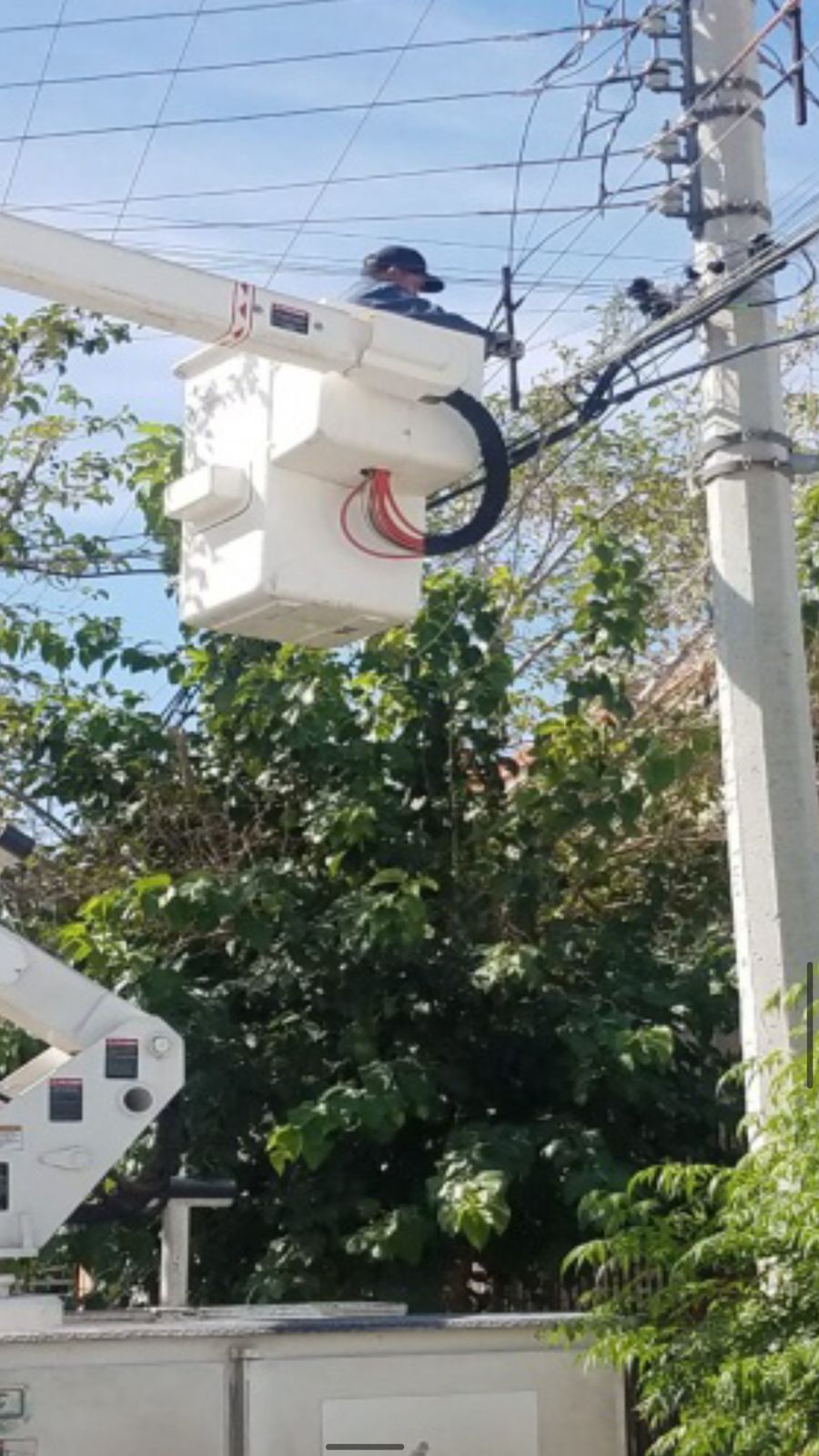 Mantiene Servicios Públicos atención en reportes de Alumbrado Público