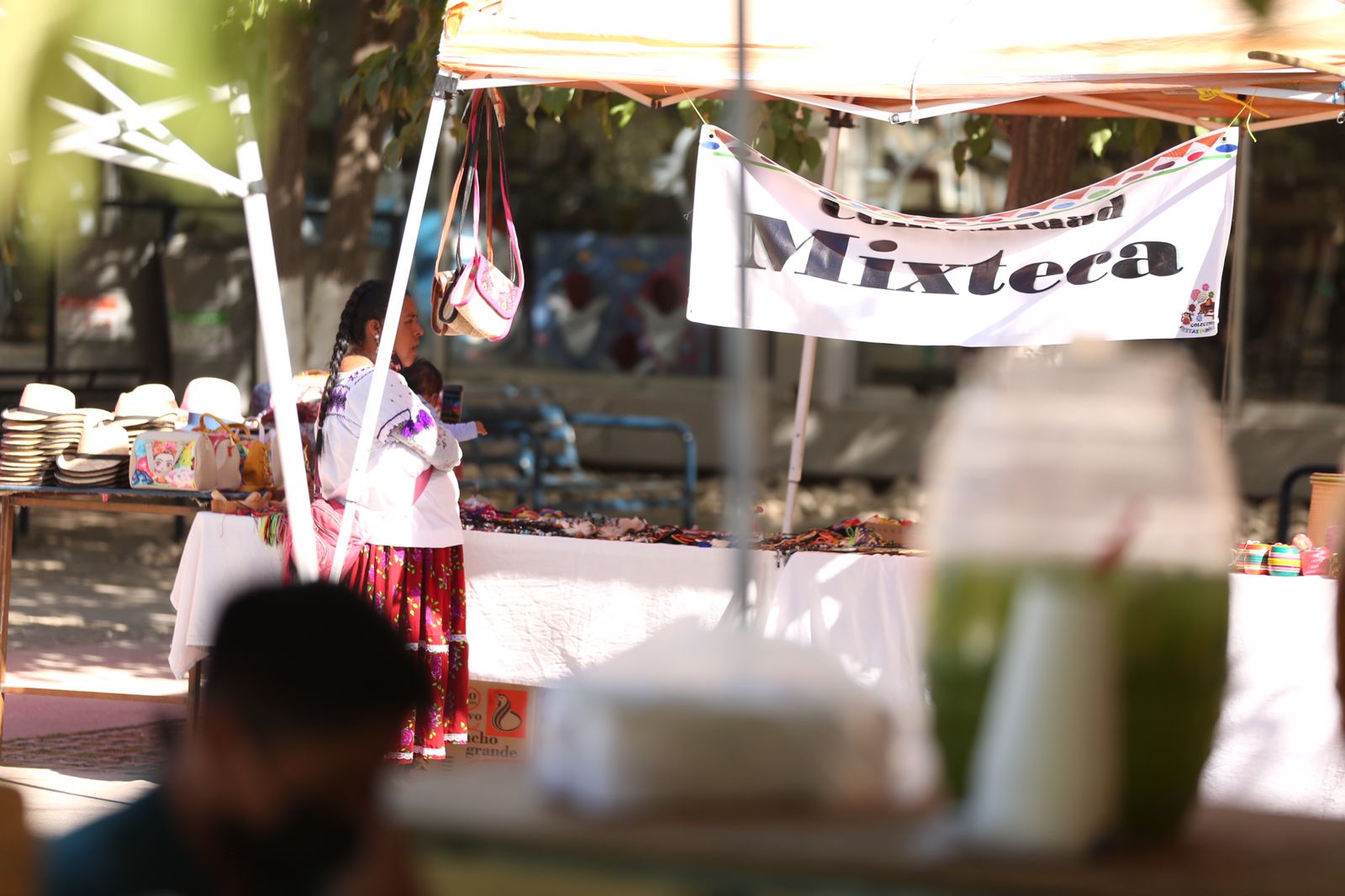 Todo un exito el festival del Maíz en parque Central