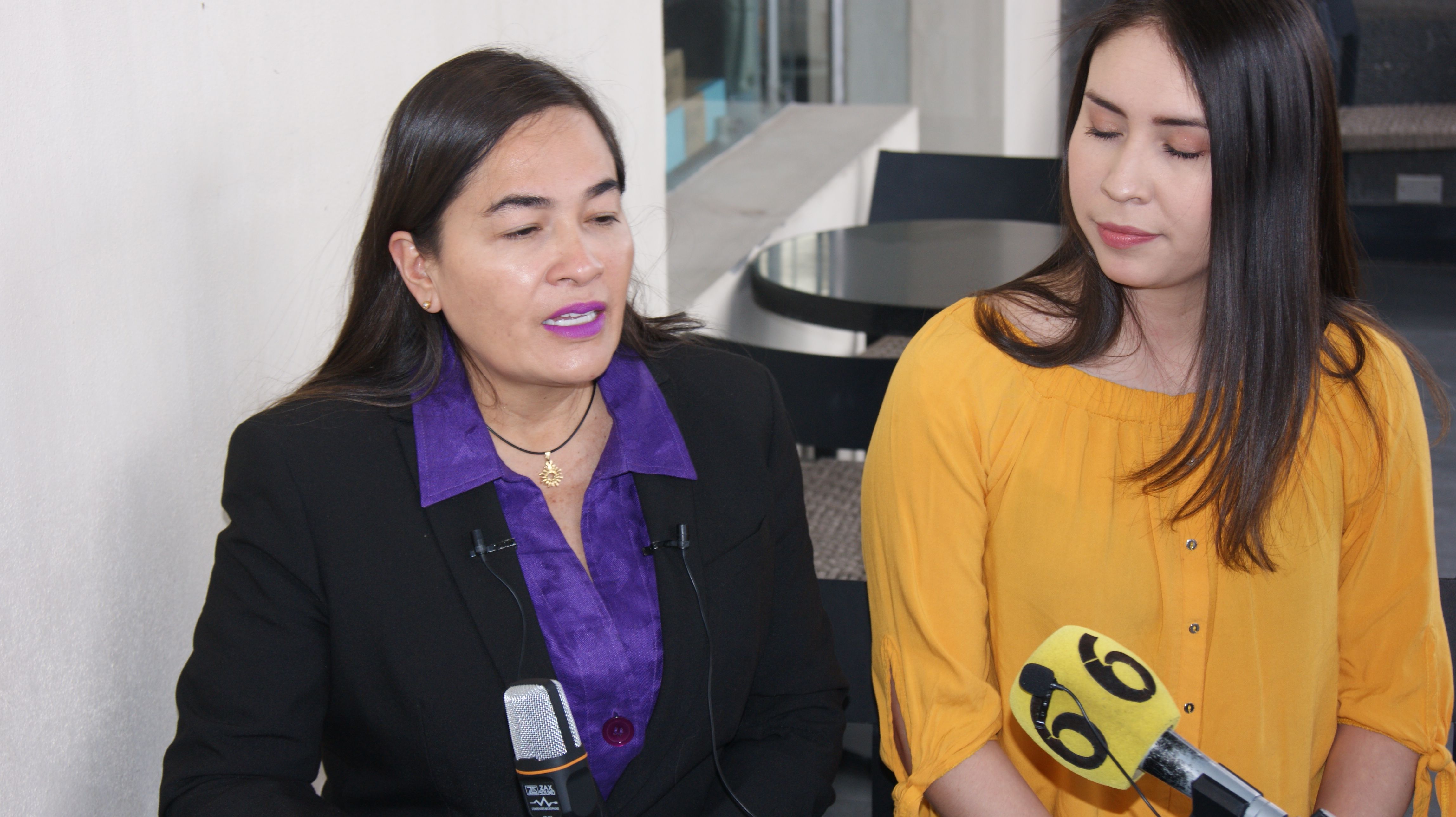 Juárez sede de actividades del PDR en la celebración del día internacional de la mujer