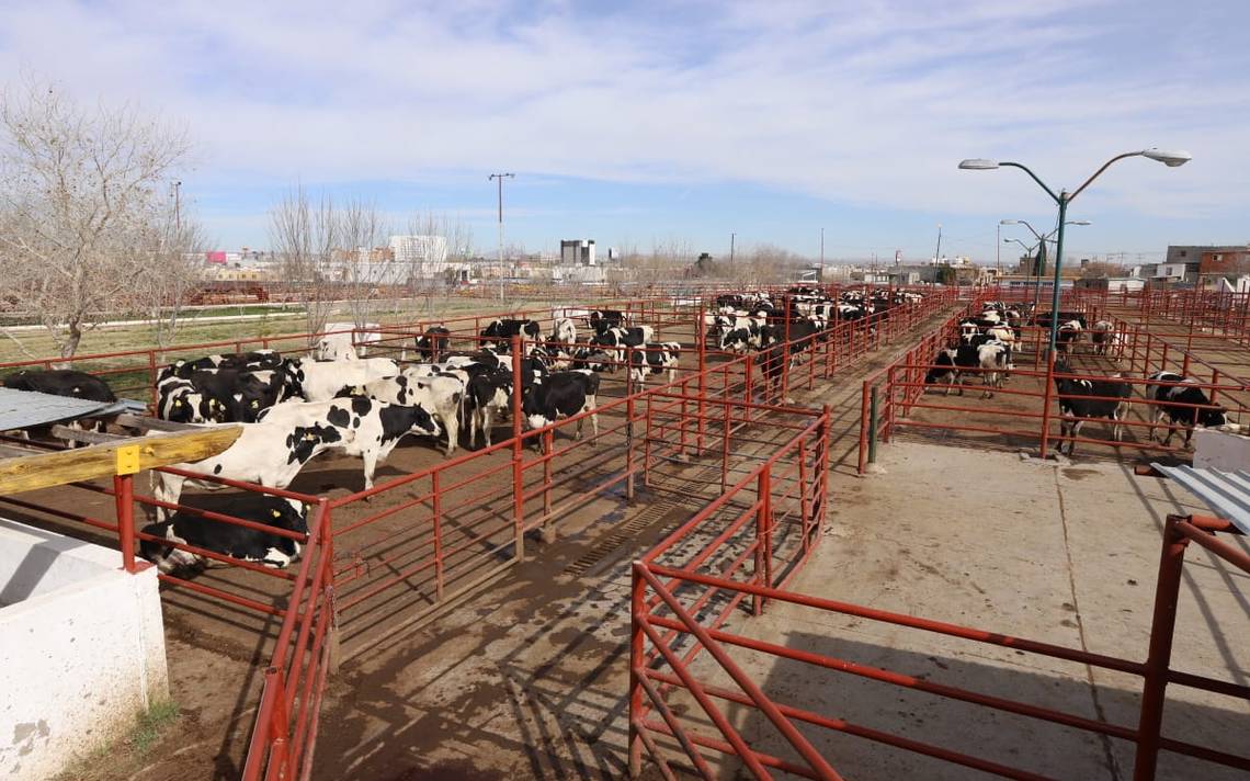 Recibe Municipio primeras propuestas para adquisición de predios en el rastro Municipal y en la avenida Miguel de la Madrid