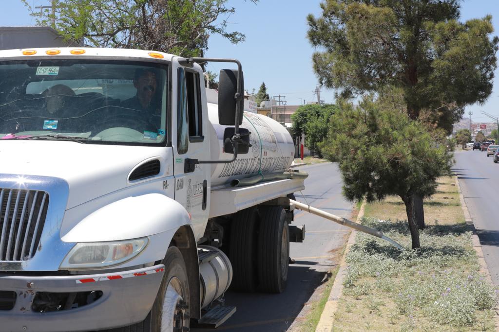 Limpia y remoza  Parques y Jardines camellones de avenidas principales