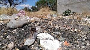 Propietarios de lotes baldíos serán multados sino mantienen limpio el lugar