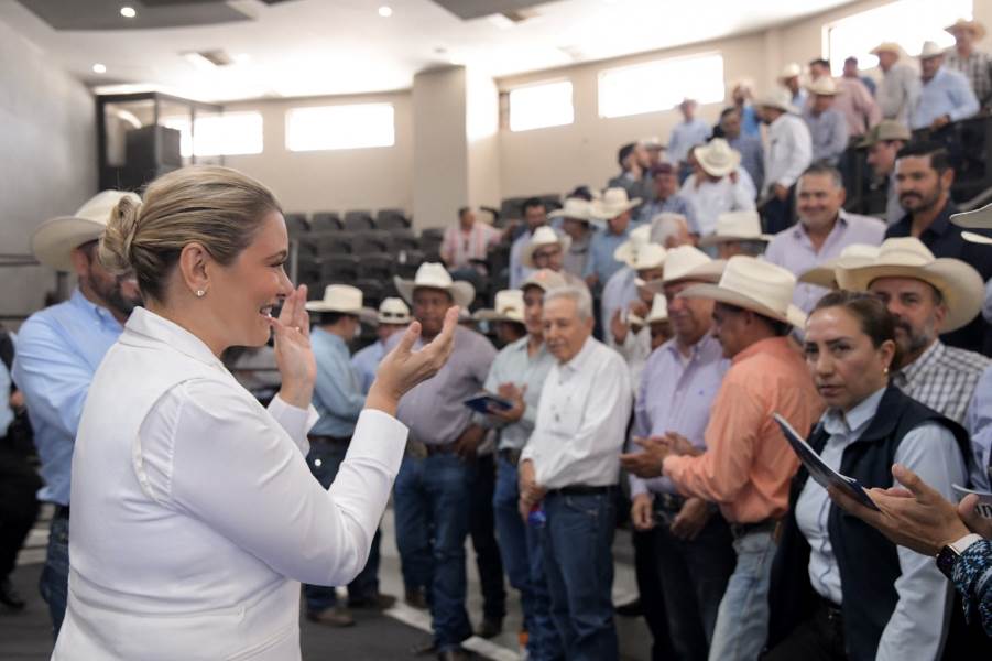 Estado presenta nuevo protocolo contra el Gusano Barrenador del Ganado
