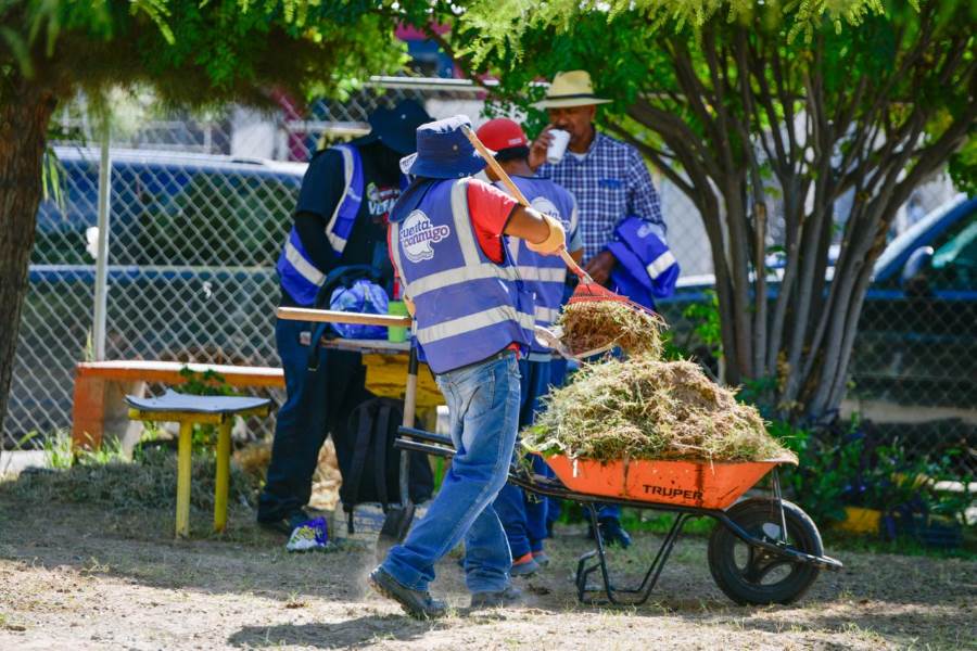 Gobierno estatal realiza limpieza y reforestación en Hacienda de las Torres Universidad