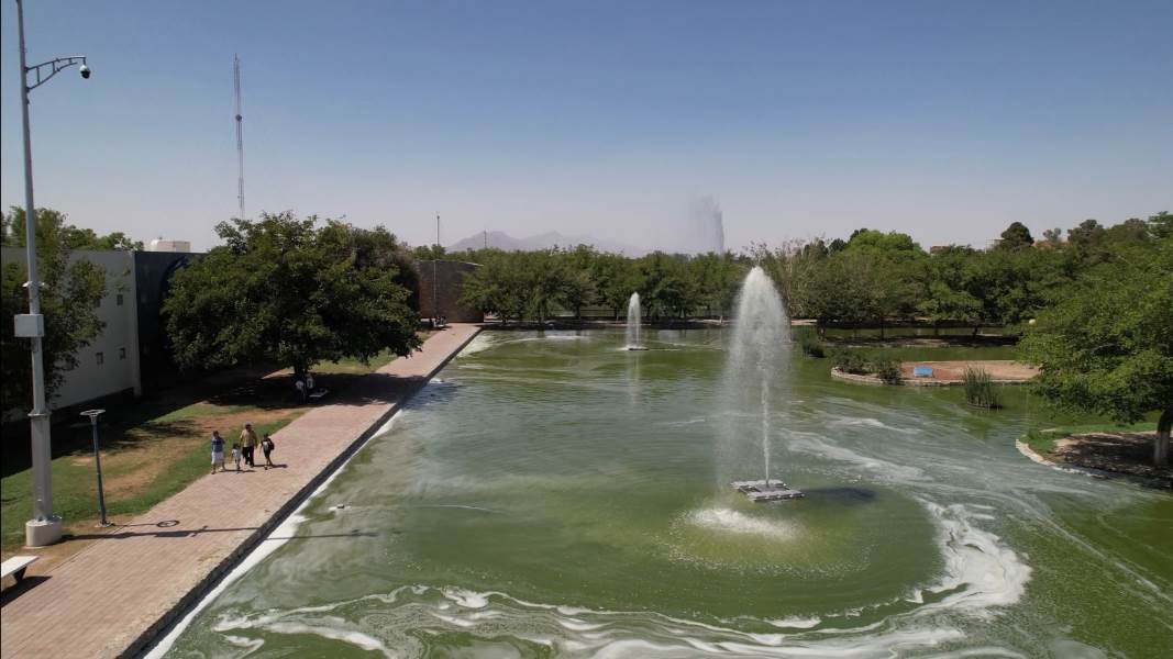 Parque Central refuerza oxigenación de sus lagos