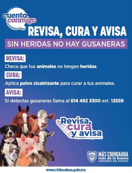 SDR pide no difundir mitos ante presencia del Gusano Barrenador
