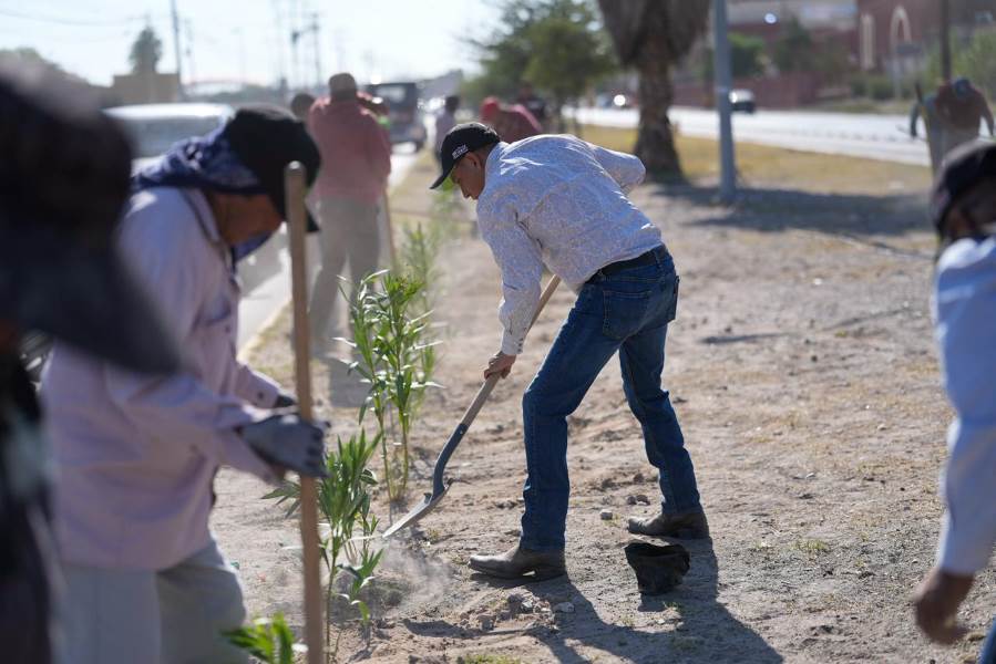 Avanza reforestación del bulevar Zaragoza con más de 500 nuevas plantaciones