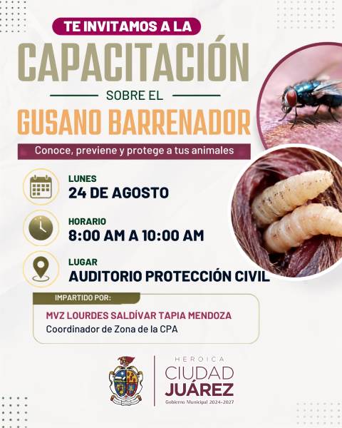 Capacitarán a personal municipal sobre gusano barrenador