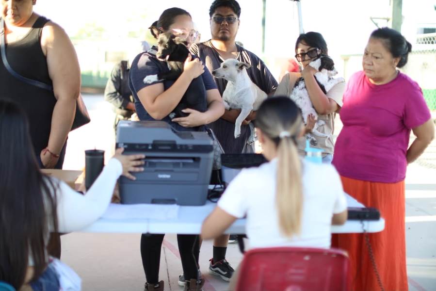 DABA realiza campaña gratuita de esterilización en el Kilómetro 27