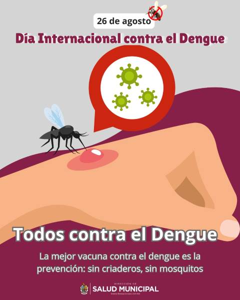 Llaman a reforzar prevención contra el dengue