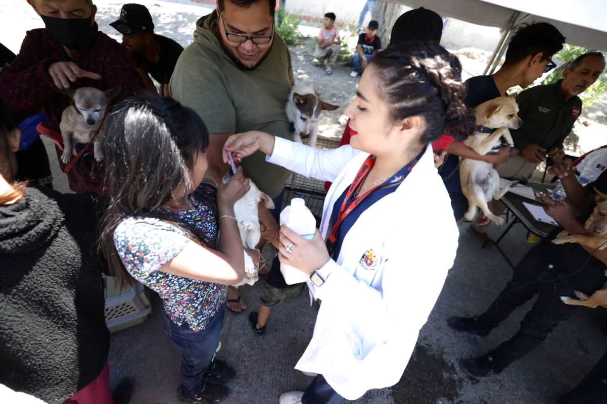 Atendió RAMM a cientos de mascotas en la México 68