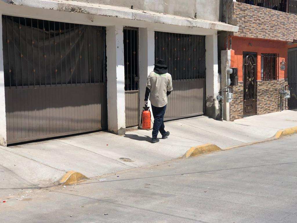Intensifican brigadas de fumigación contra garrapata