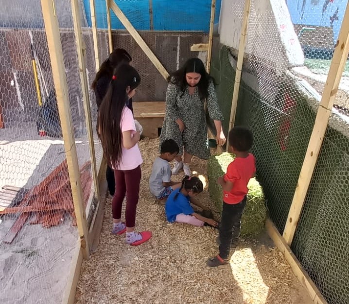 Instruyen a niños migrantes sobre protección animal