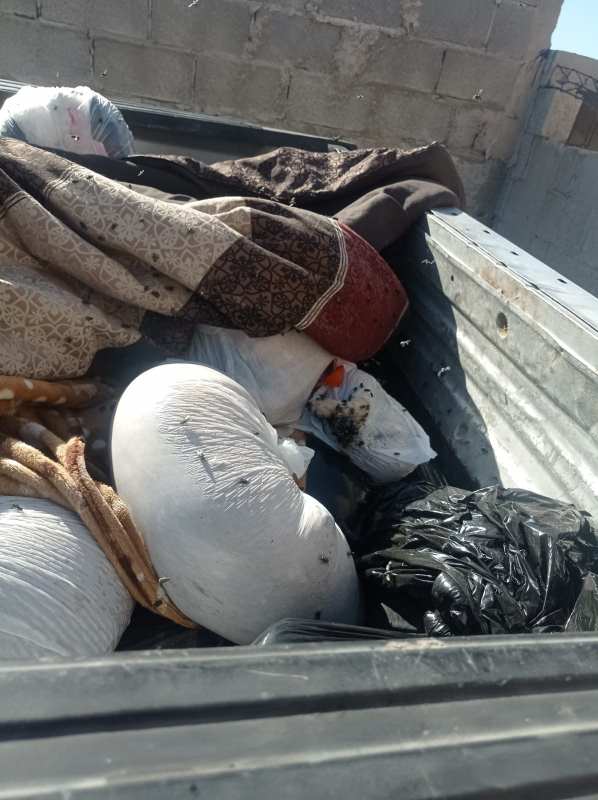 Podrían aplicar multas en el caso de cadáveres de perros localizados en camioneta