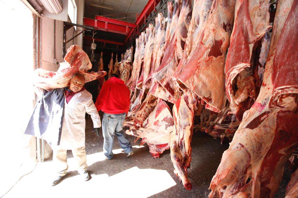 Mantiene rastro municipal cantidad de sacrificio de animales mensualmente