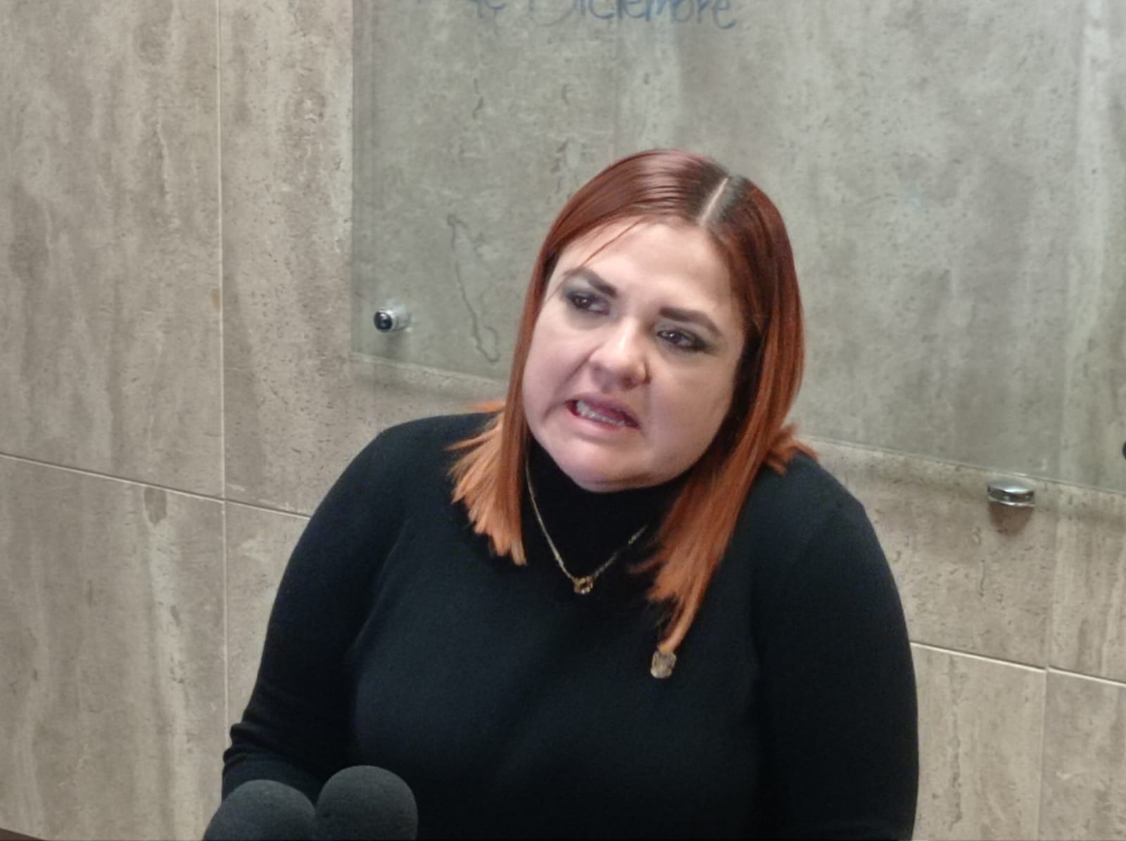 Llaman a aprovechar decreto para regularizar vehículos.