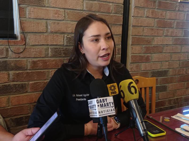 Buscará PRD blindaje en materia de seguridad para el proceso local.