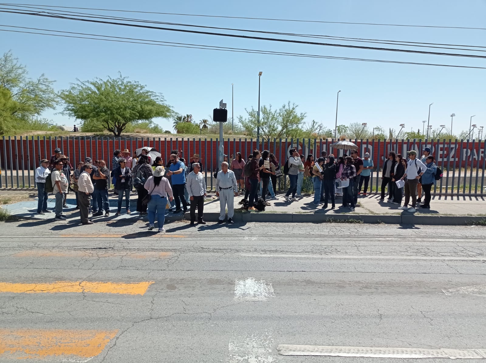 Proponen organismos acciones para fortalecer áreas verdes.
