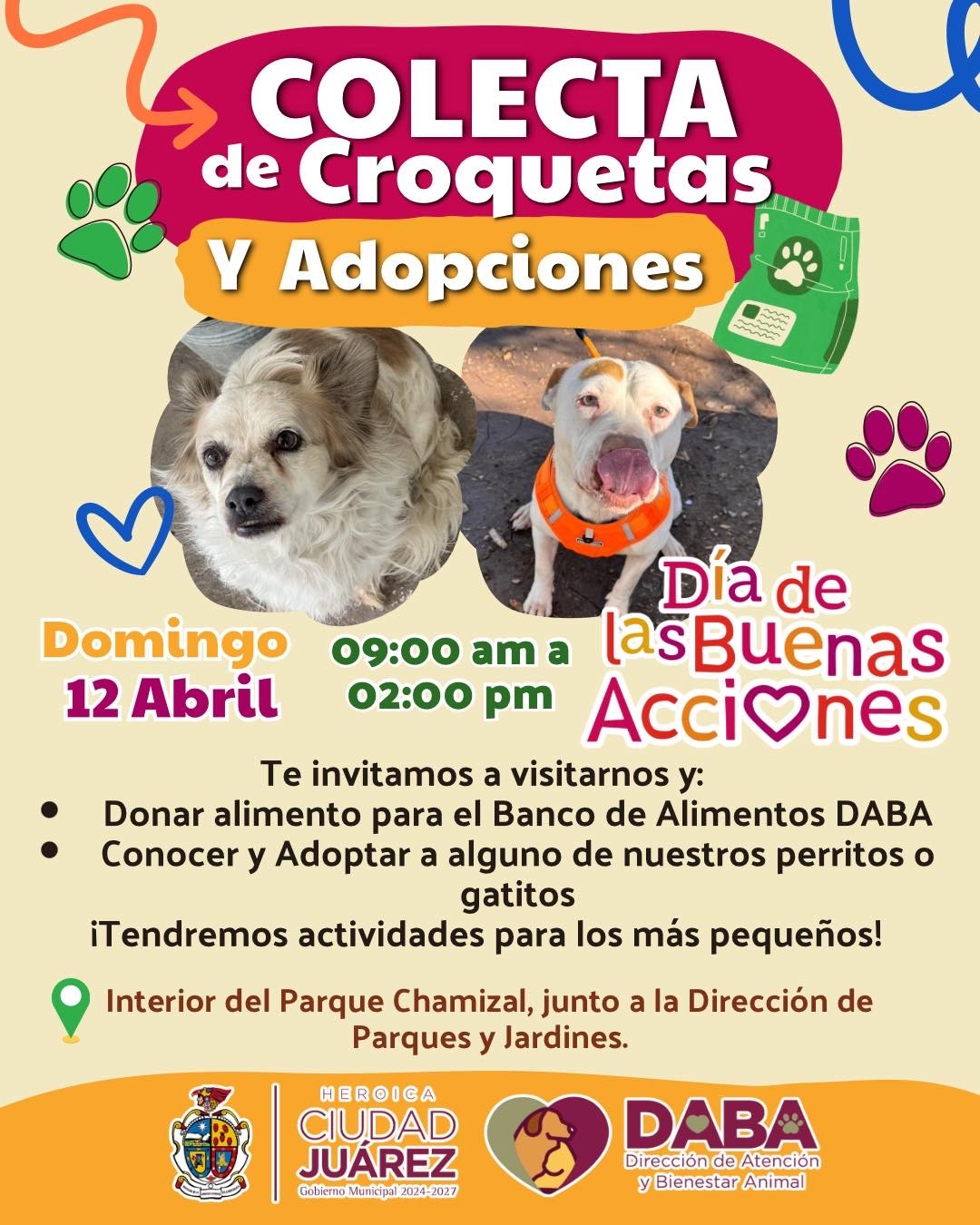 Invita DABA a colecta de croquetas el domingo.