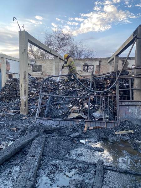 Incendio en predio de la colonia Santa Rosa deja animales muertos