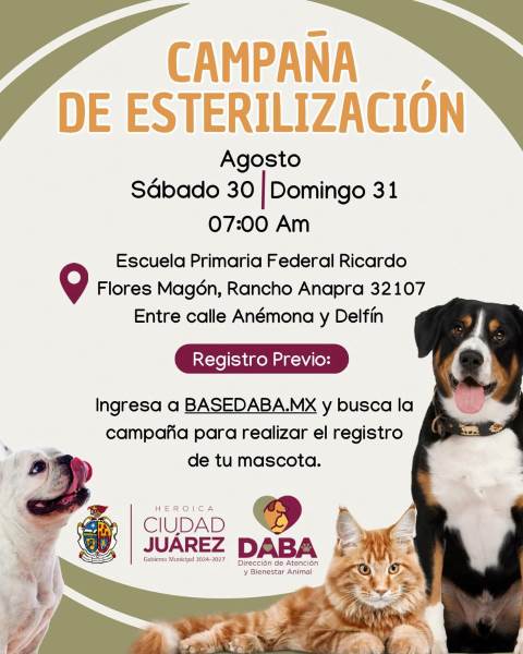 Lanzan campaña de esterilización gratuita en Rancho Anapra