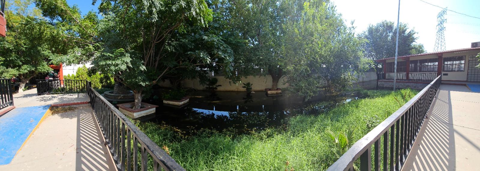 Responde JMAS a señalamientos del Regidor Pedro Matus