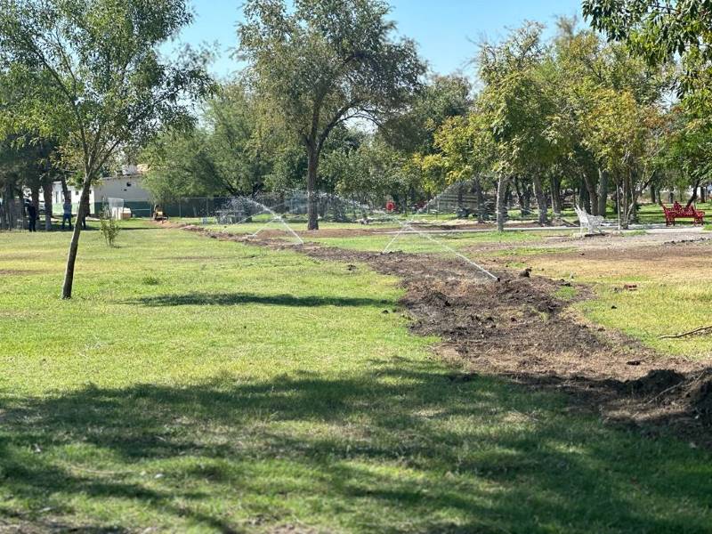 Parque de El Chamizal contara con riego pro aspersión en su totalidad