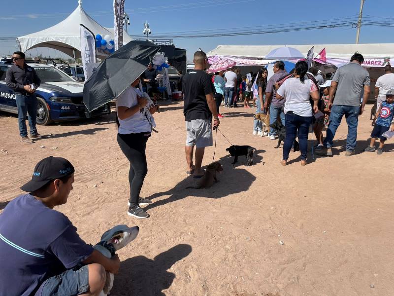 Aplicó Ecología 400 vacunas antirrábicas en Cruzada por Juárez