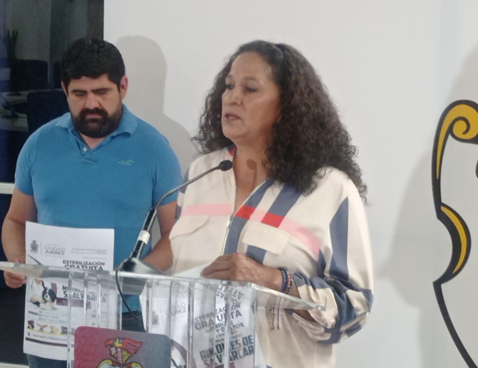 Esperan en 2 años reducir sobrepoblación de animales en situación de calle.