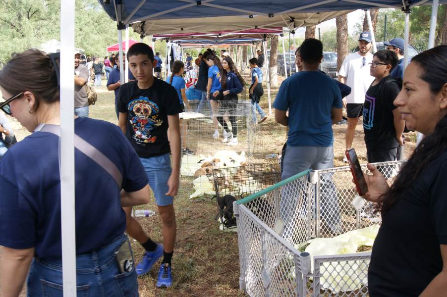 Juarenses brindan hogar a mascotas en Cruzada por la Adopción