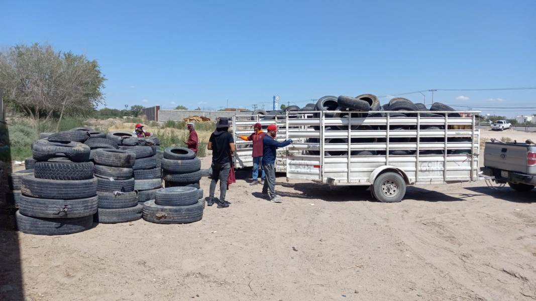 Realizan operativo de limpieza en el Valle de Juárez