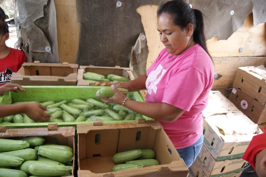 Preparan Feria de las Hortalizas 2024 en Samalayuca
