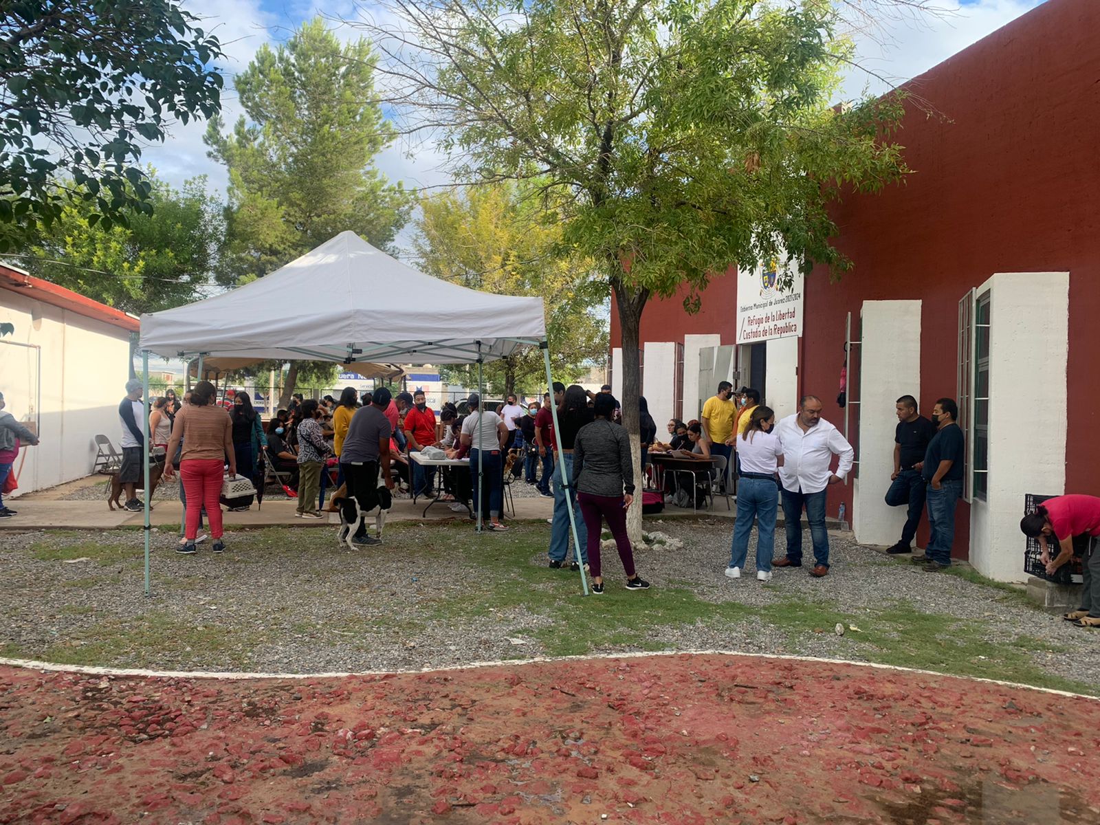 Más de 250 mascotas fueron esterilizadas