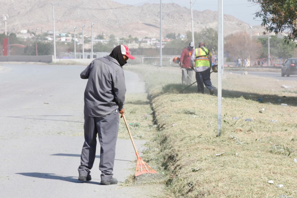 Preparan suelo de camellones para su forestación