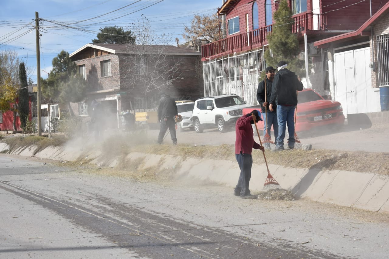 Atienden camellón central del Arroyo de las Víboras con el retiro de basura y limpieza.