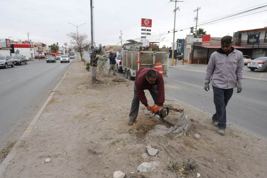 Realizan mantenimiento general en la calle Montes Urales