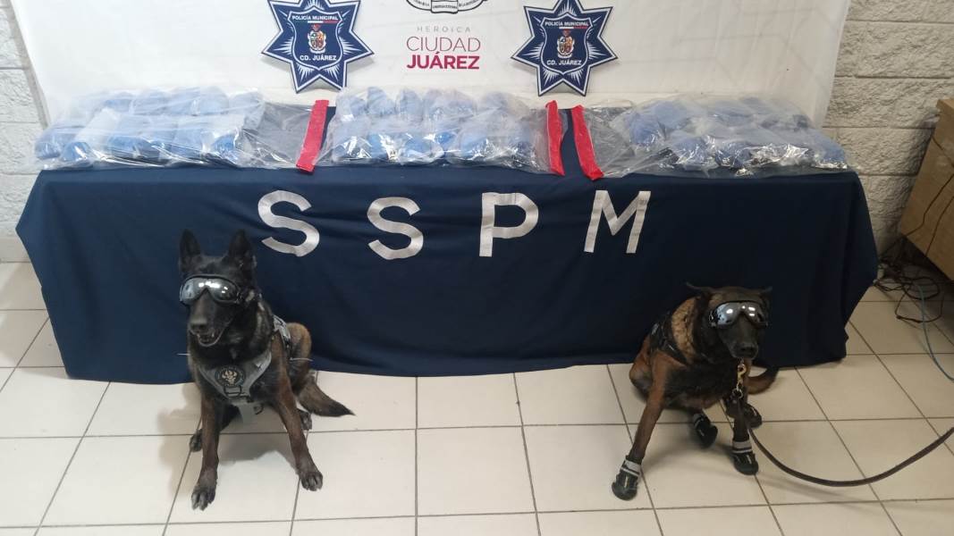 Detienen a sujeto en posesión de aproximadamente 20 kilos de cristal