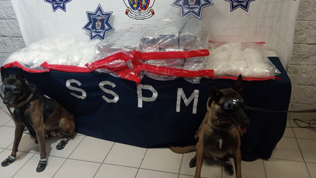 Detectan elementos caninos a dos sujetos con un aproximado de 110 kilos de cristal