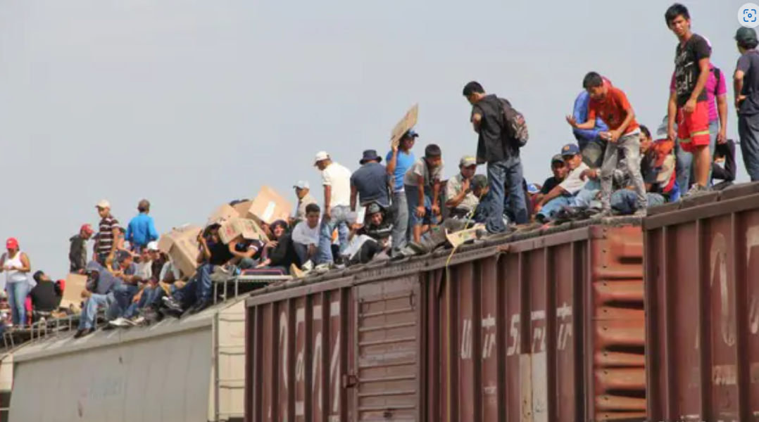 Por seguridad se debe evitar que migrantes viajen en trenes de carga